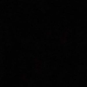 Meet your Posher, Suzanne